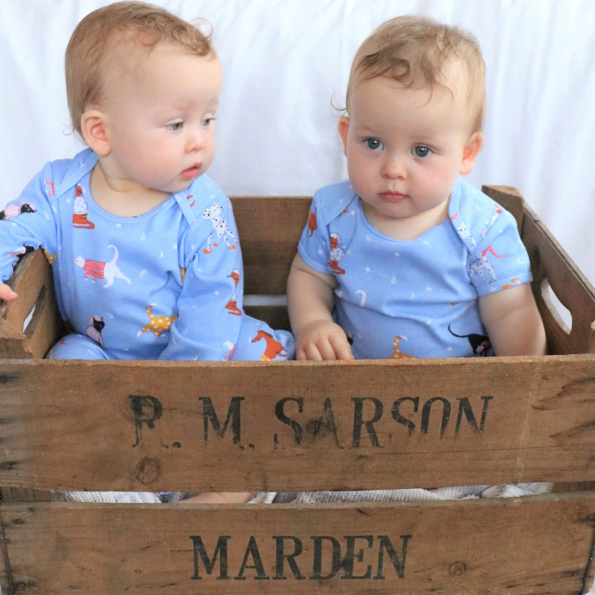 Cats & Dogs Baby Grow