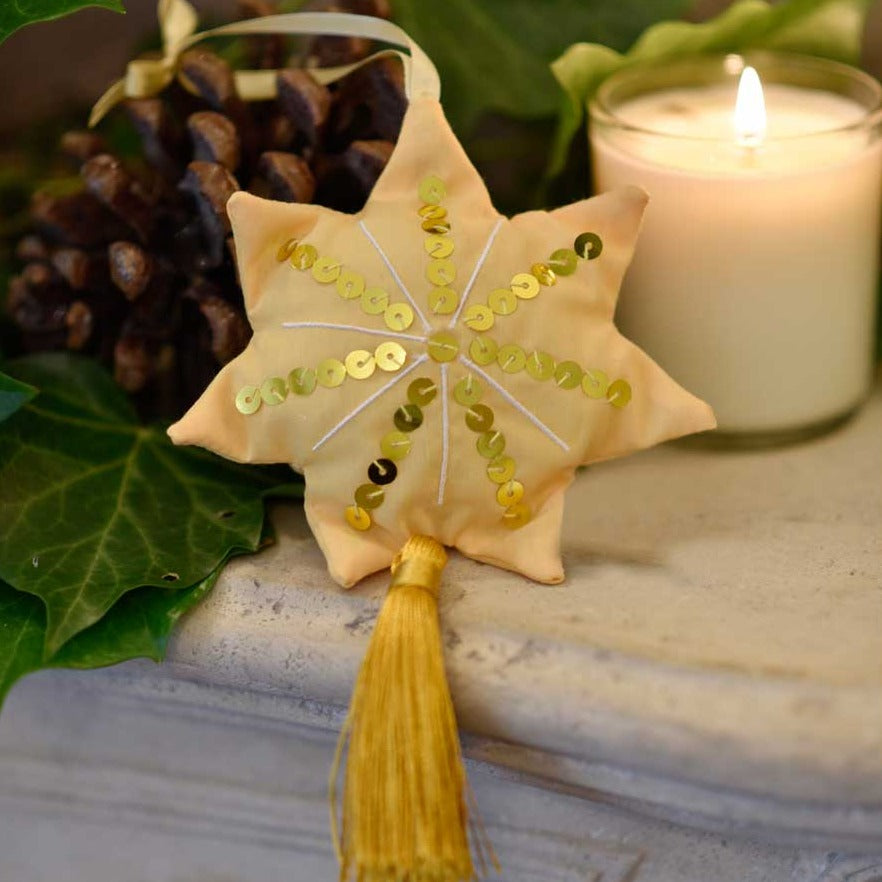 Star Christmas Hanging Decoration Lavender Filled