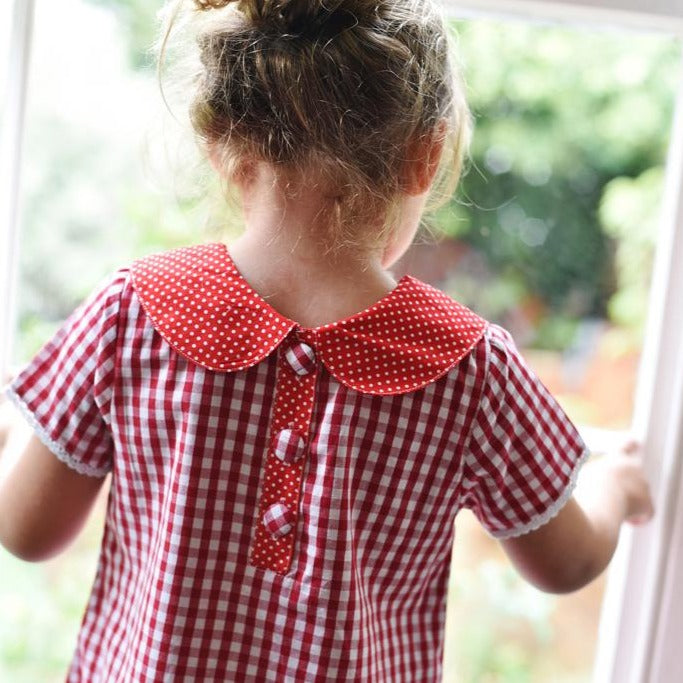 Red Checked Ladybird Dress