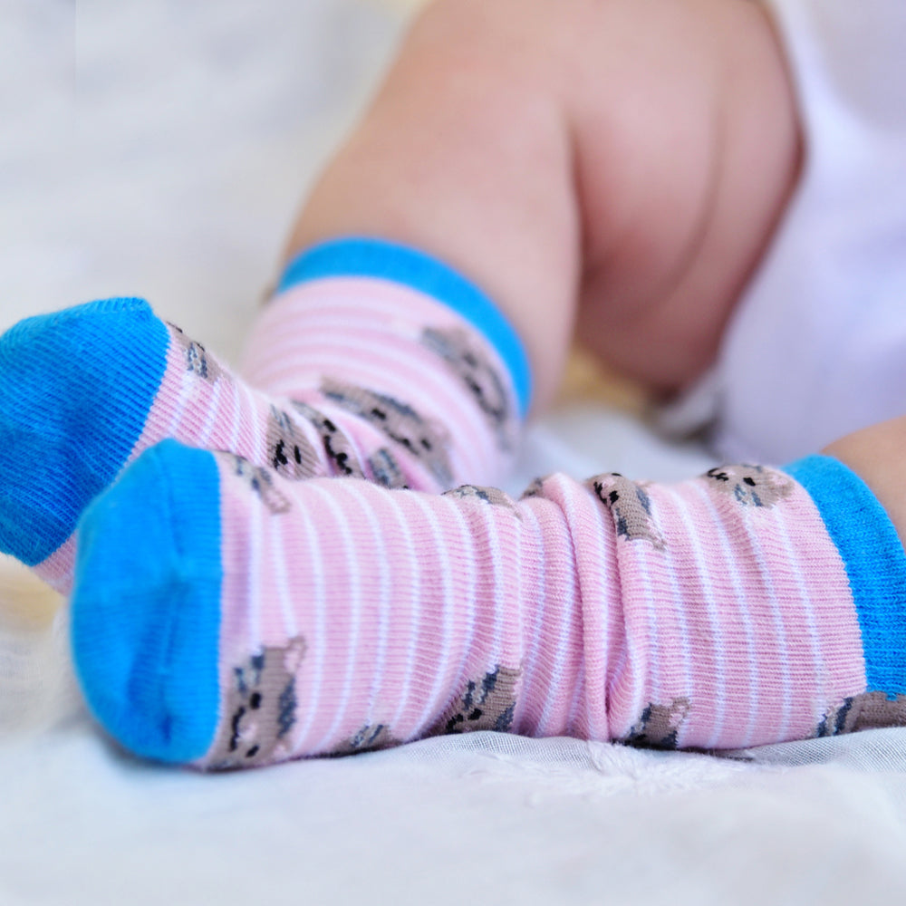 Cat Socks (PACK OF 2 PAIRS)