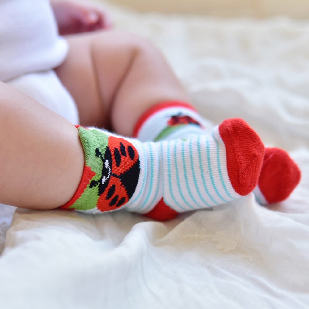 Ladybird Socks ( PACK OF 2 PAIRS)