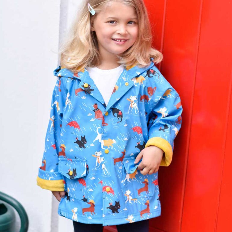 Cats & Dogs Raincoat