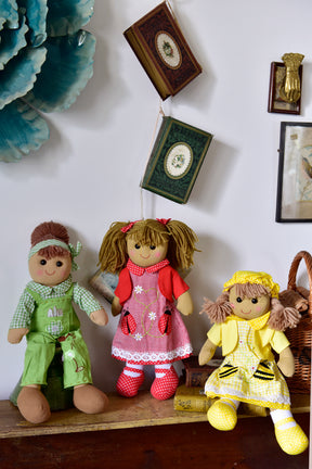 Rag Doll with Embroidered Ladybird Dress 40cm