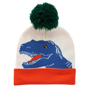 Colourful Dinosaur Knitted Hat