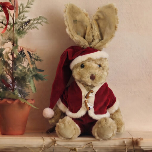 Rabbit In Red Velvet Christmas Suit