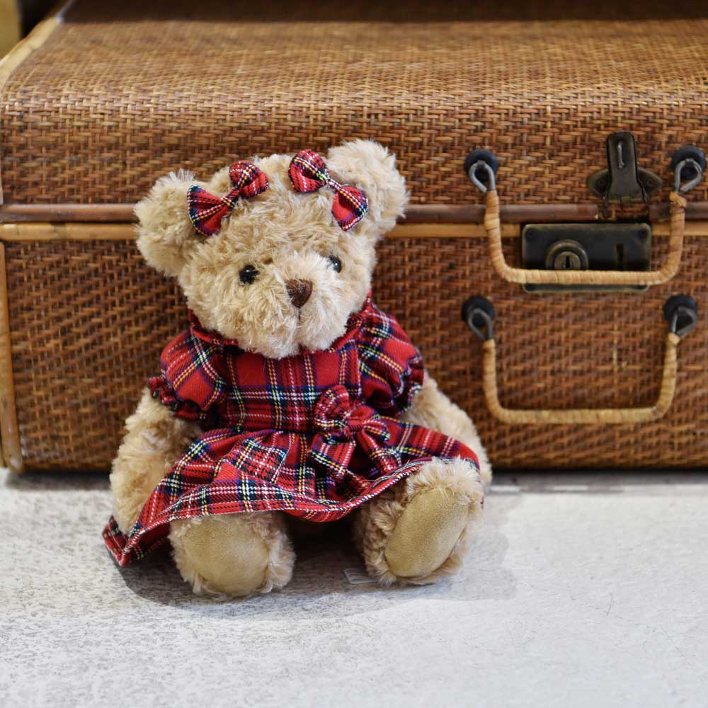 Teddy Bear With Red Tartan Dress
